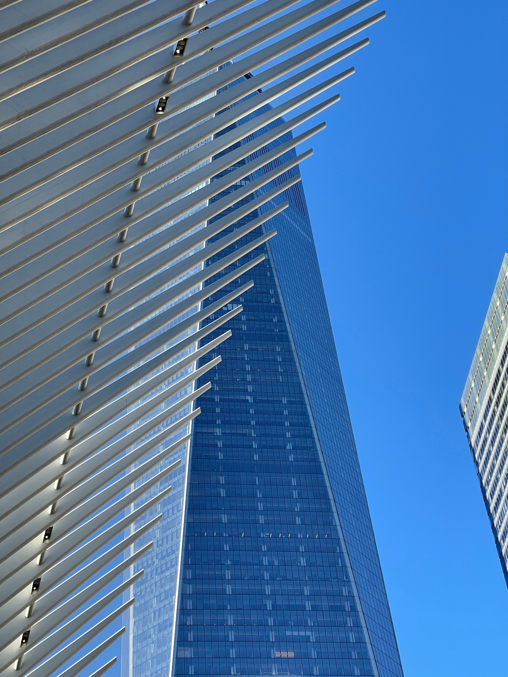 White steel ribs of a transit hall reach toward a glass tower against a clear blue sky in Lower Manhattan