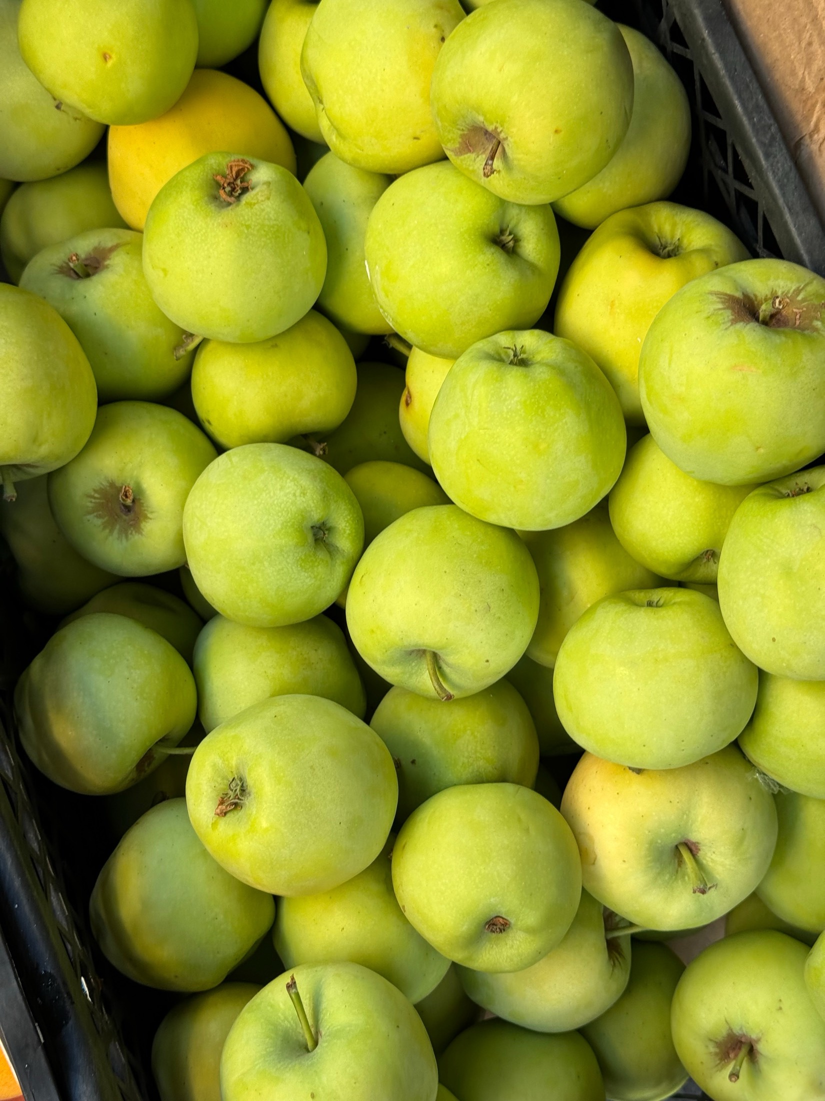 A crate brimming with green apples at a market in south-west Turkey