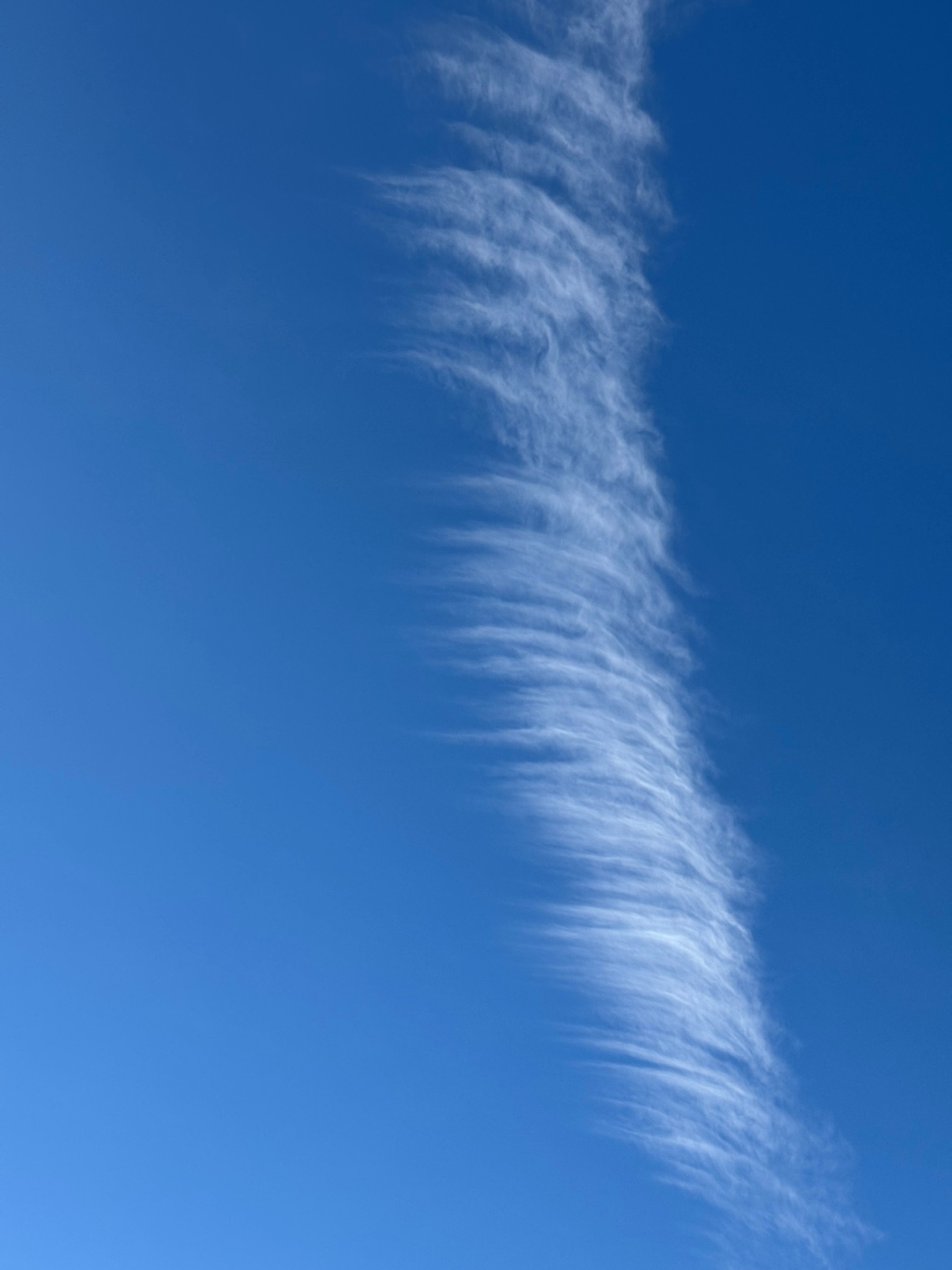 A single feathered streak of cirrus cloud across a deep blue sky over New York