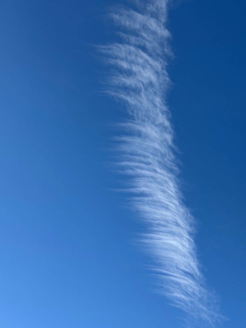 A single feathered streak of cirrus cloud across a deep blue sky over New York