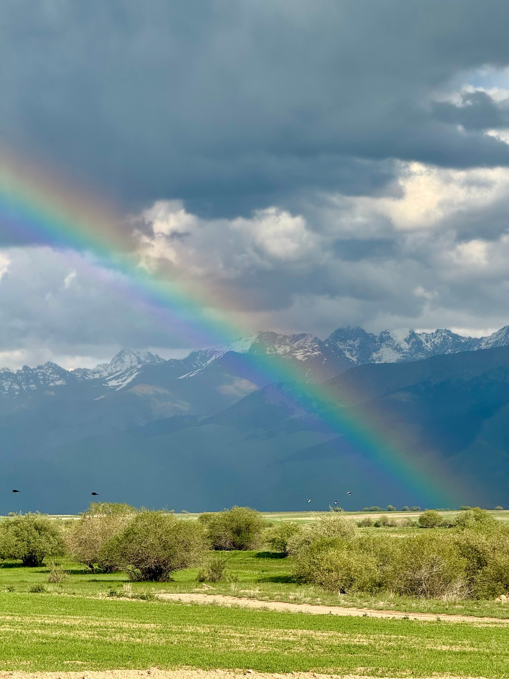 A rainbow falls on snow-capped mountains above a green valley under storm clouds, Kyrgyzstan
