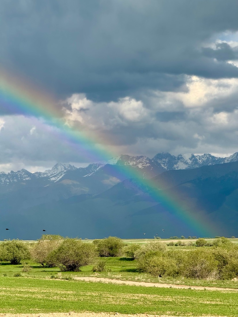 A rainbow falls on snow-capped mountains above a green valley under storm clouds, Kyrgyzstan