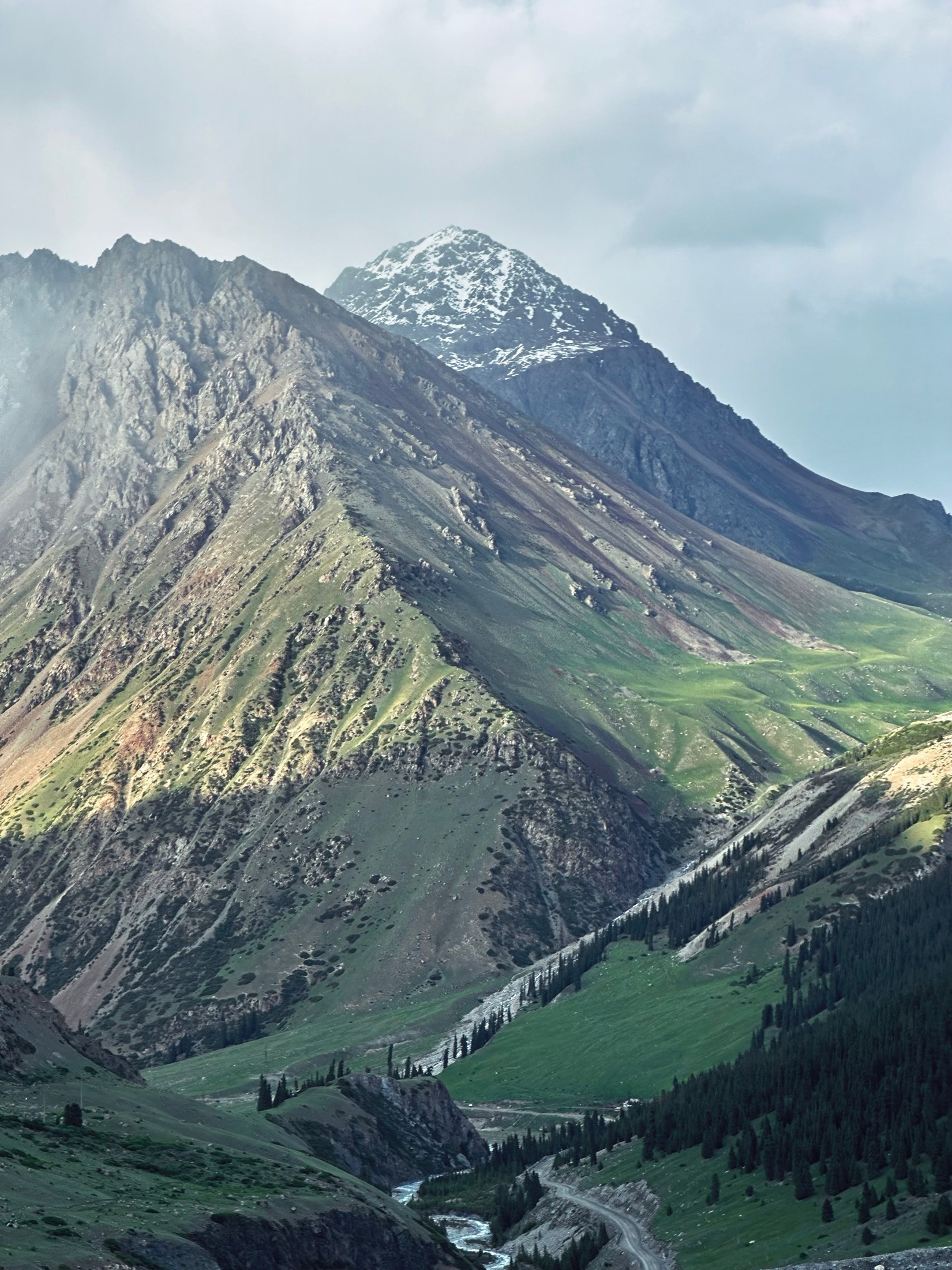 A snow-capped peak above a green valley with a river and pine forest, Kyrgyzstan