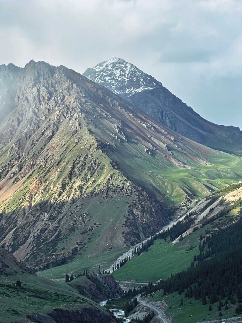 A snow-capped peak above a green valley with a river and pine forest, Kyrgyzstan