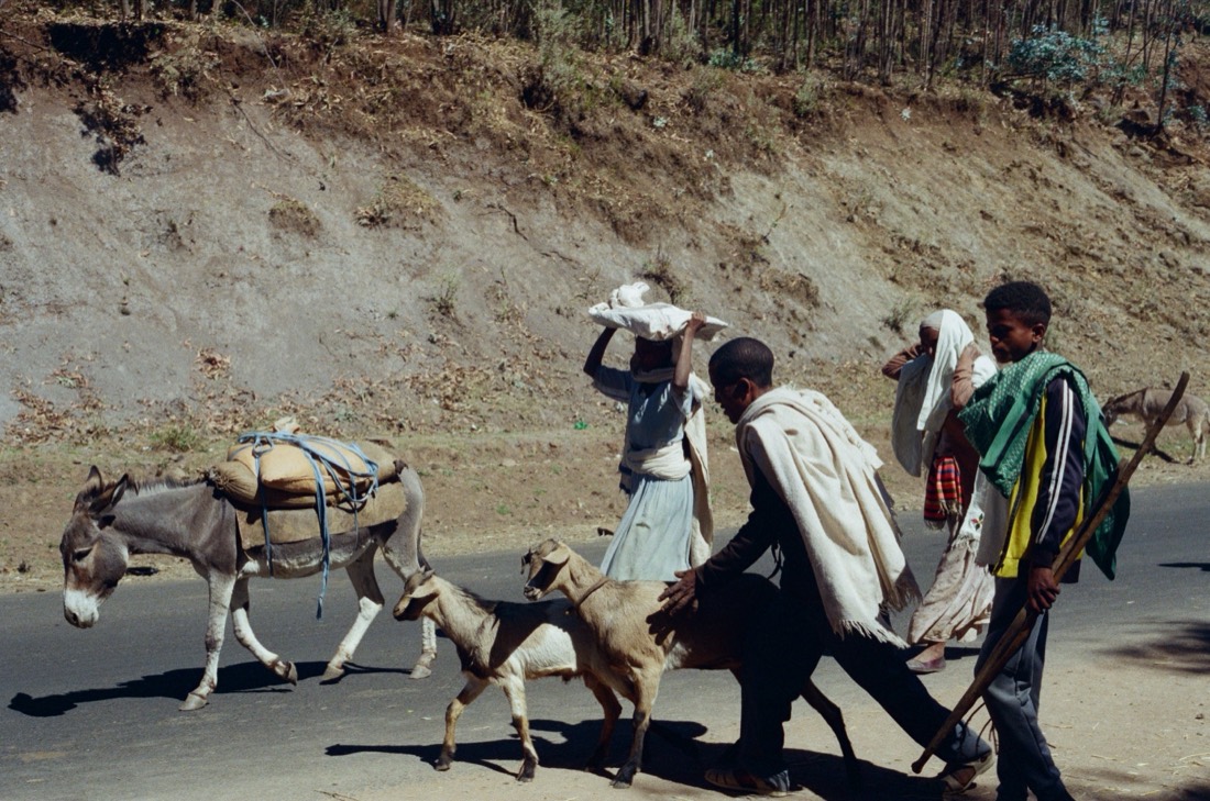 Men in white shawls walk a loaded donkey and goats along a highland road, on Fujifilm 400 film, Ethiopia
