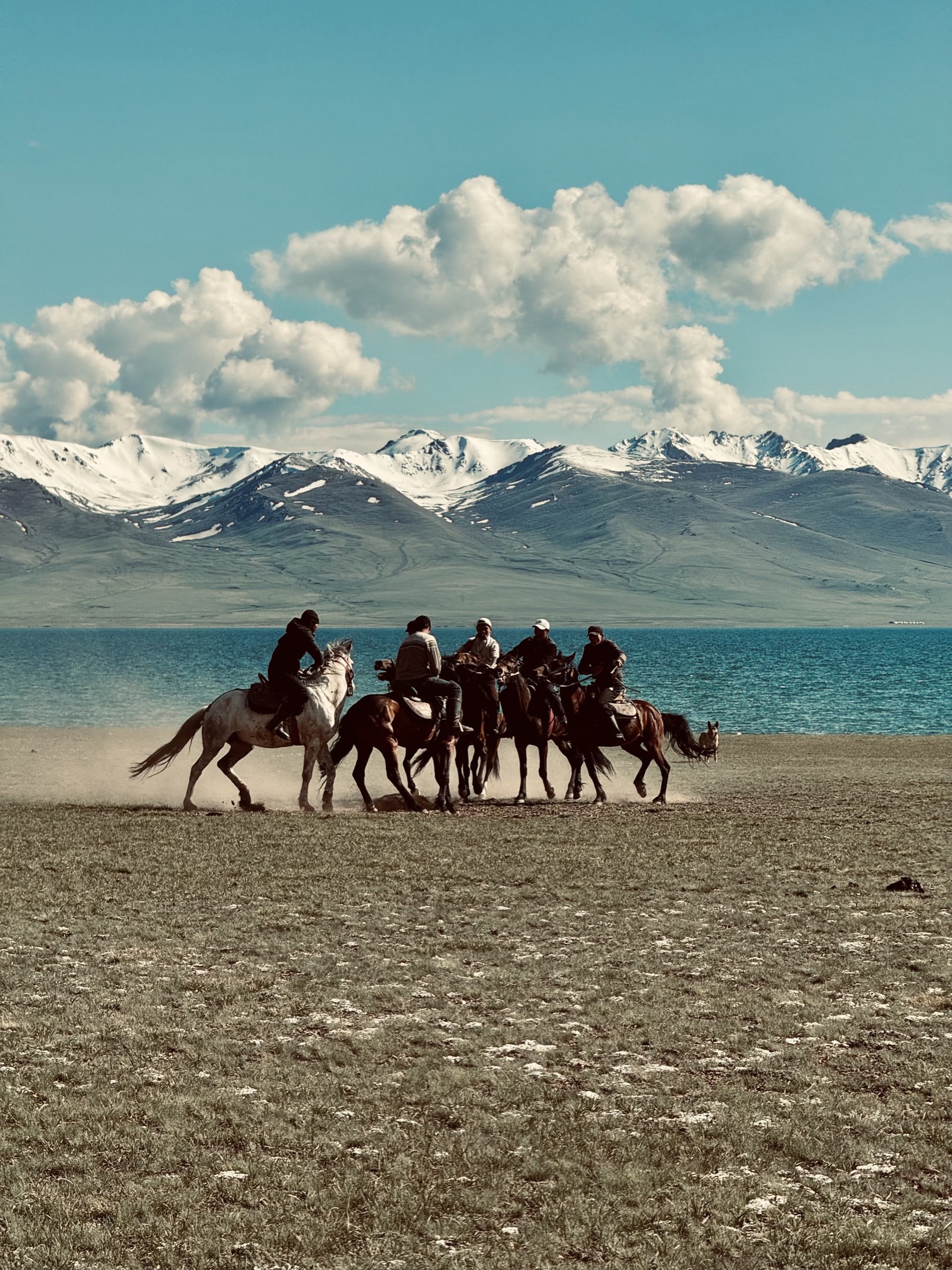 Horse riders crossing a beach below snow-capped mountains