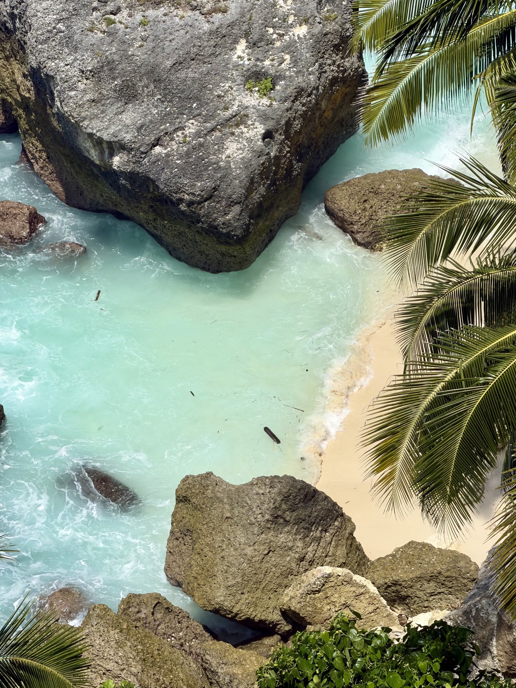 Aerial view of large boulders and turquoise water below palm trees, Nusa Penida