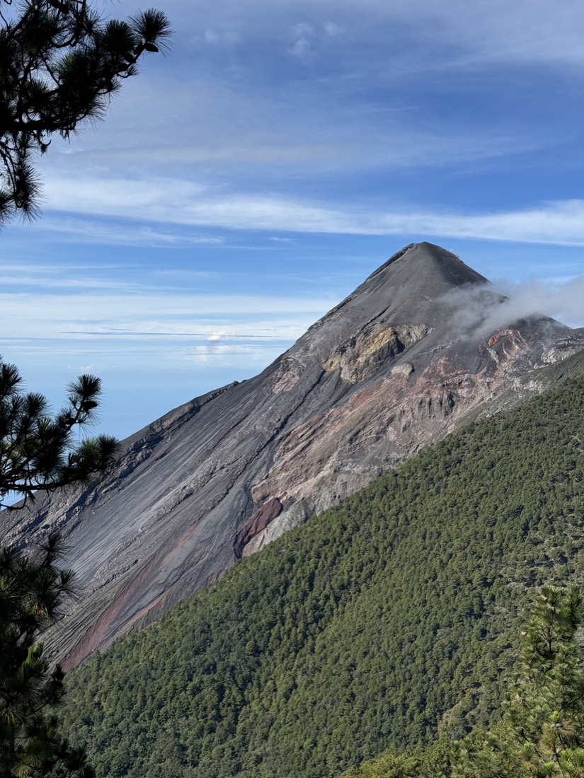 Forested mountain peak under a blue sky