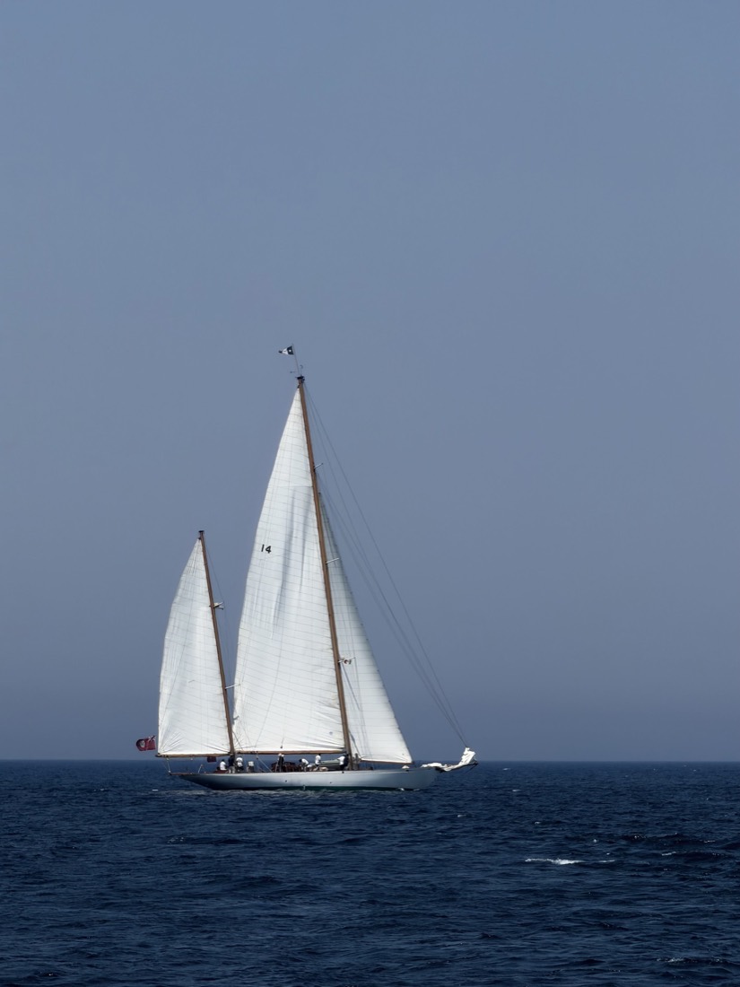 White sailboat on open blue sea