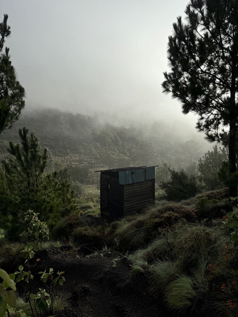 Misty hillside forest with a small shelter