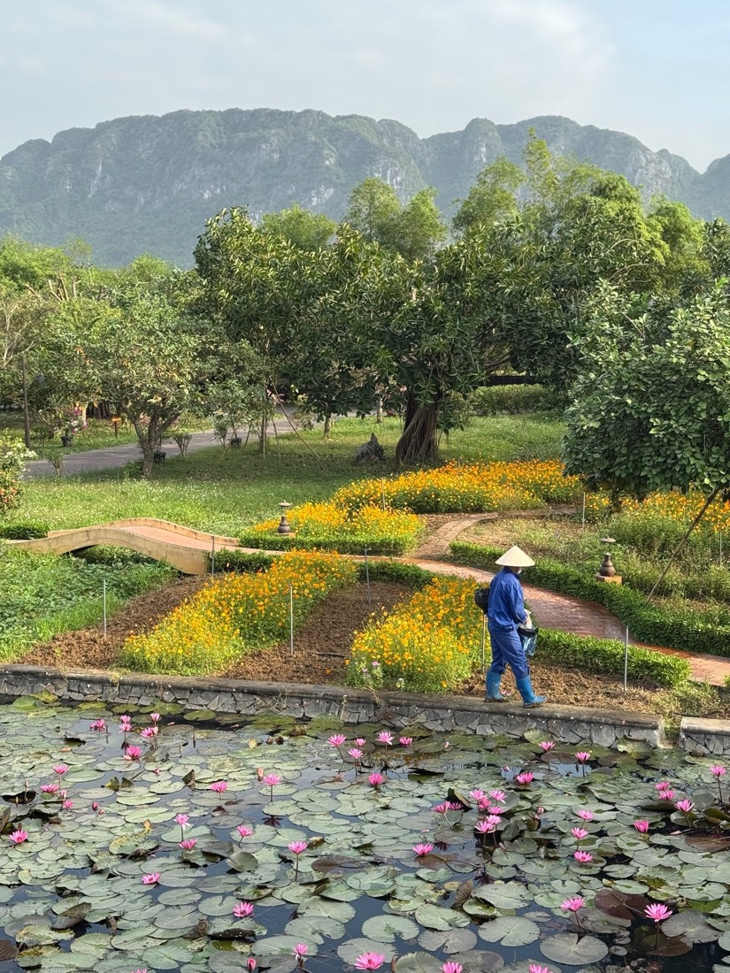 Farmer working among lush green fields below forested hills