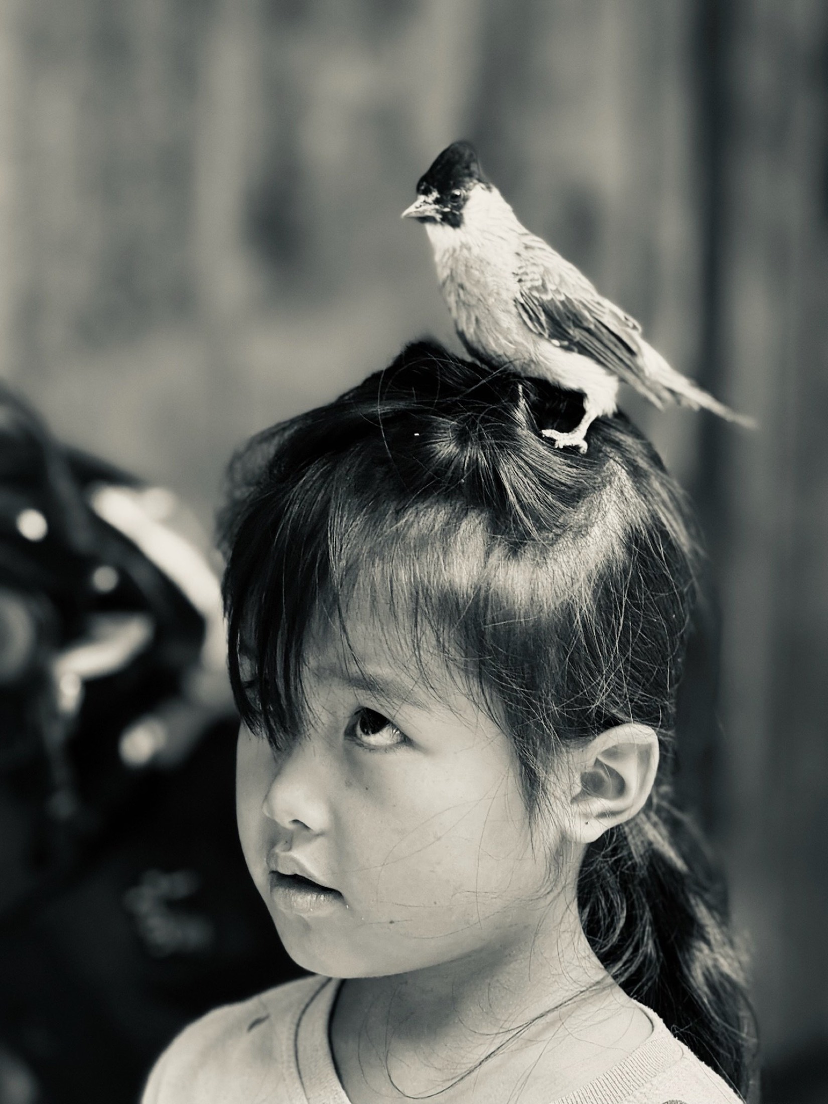 Young girl with a small bird perched on her head, black and white portrait