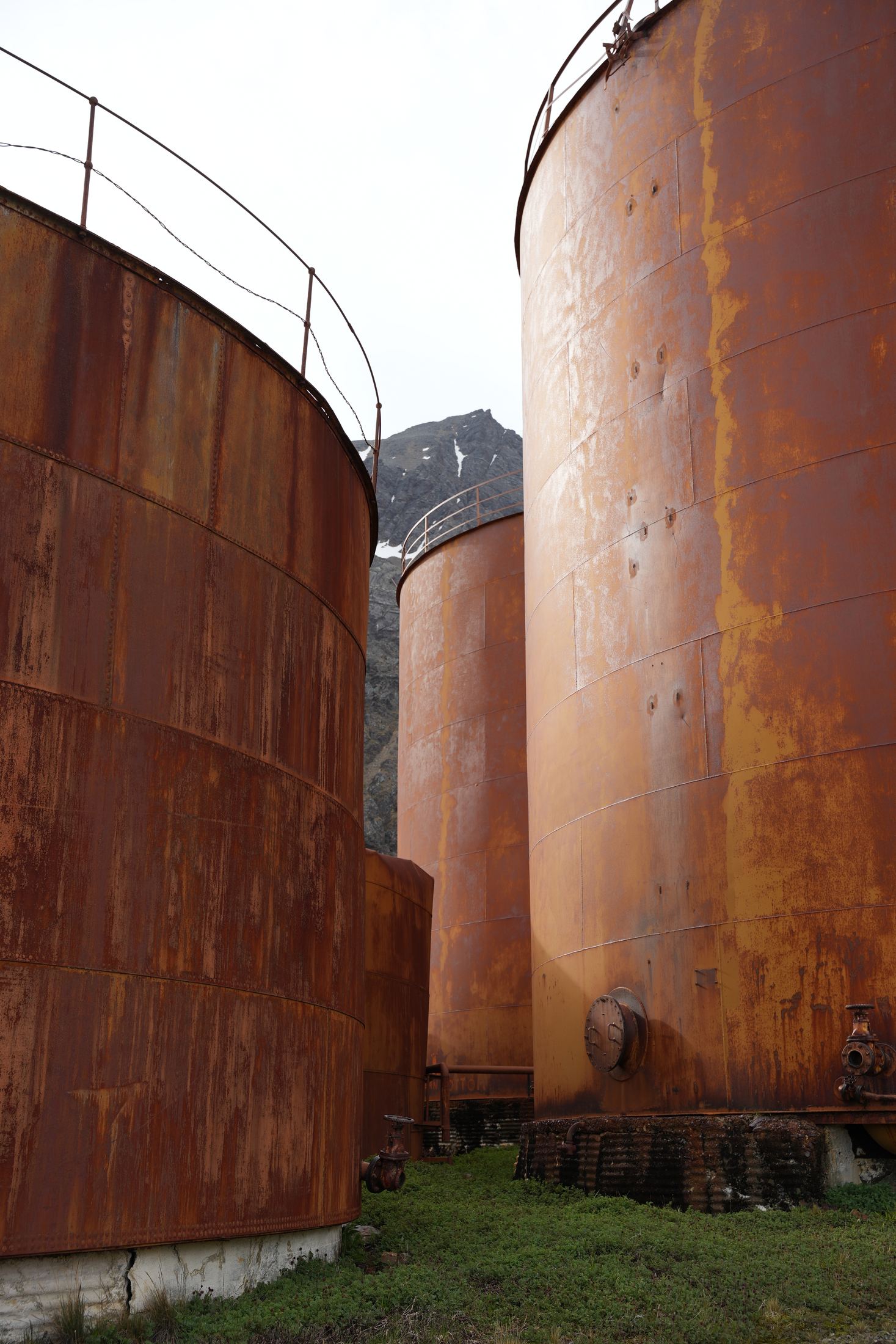 Rusted whale-oil tanks towering over green grass, a snow-streaked peak between them, South Georgia