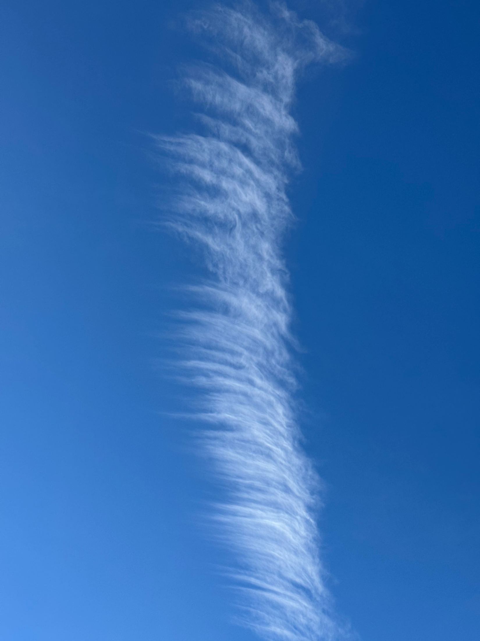 A single feathered streak of cirrus cloud across deep blue sky
