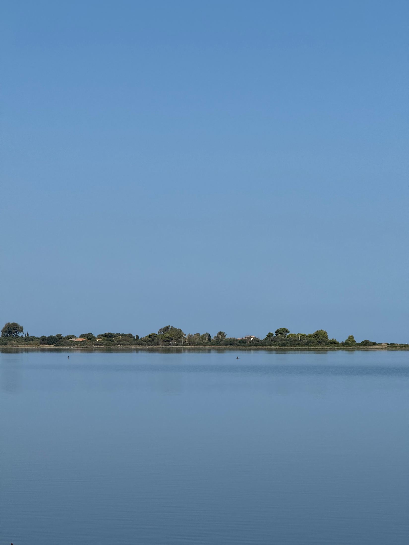 Calm pale-blue lagoon with a low line of trees on the far shore