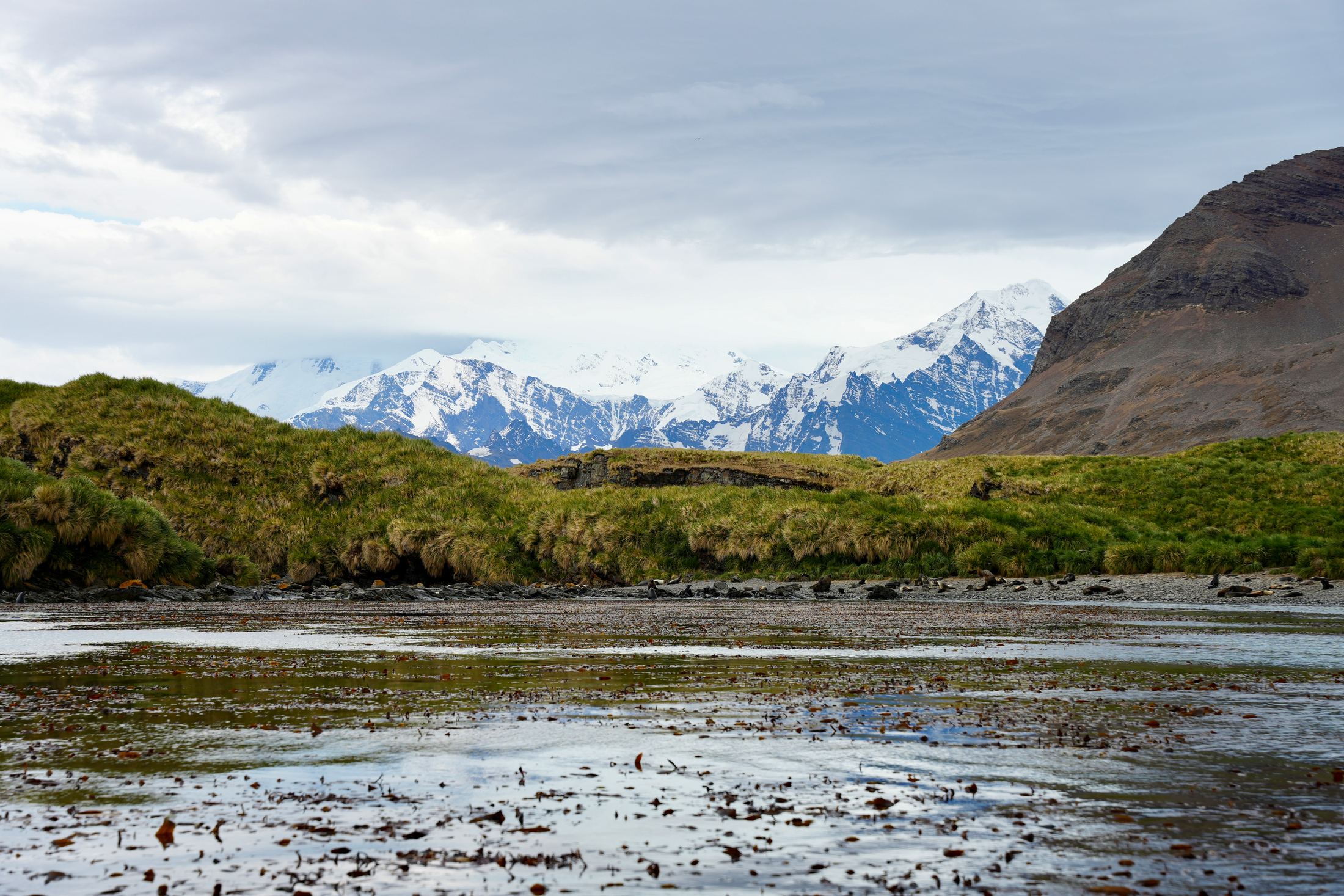Tidal flats and green hills beneath a jagged snow-capped range